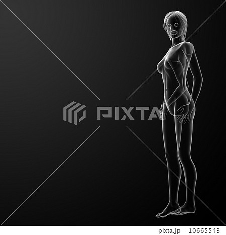 3d rendered illustration of the female 3d rendered illustration of the female 10665543
