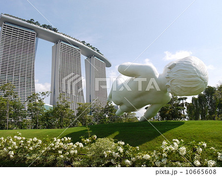 シンガポール 10665608