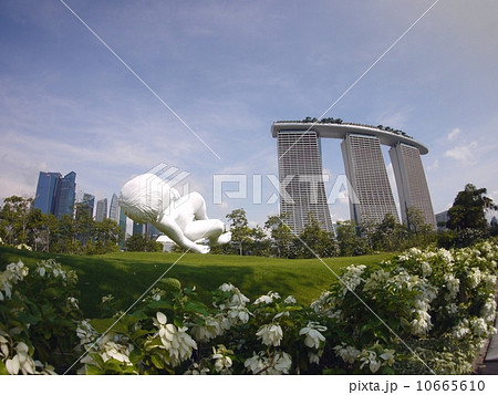 シンガポール 10665610