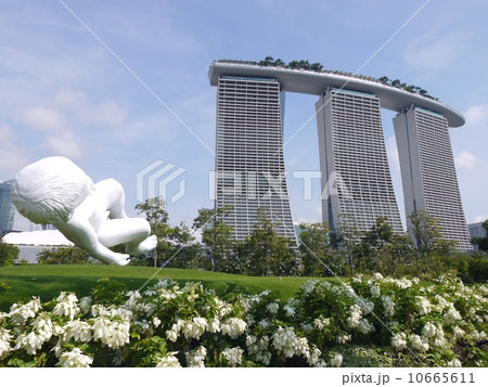 シンガポール 10665611