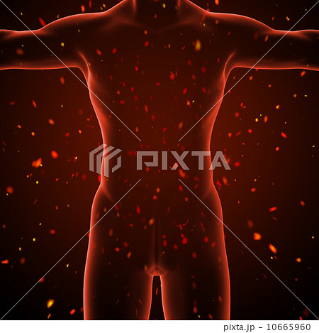 human body human body 10665960