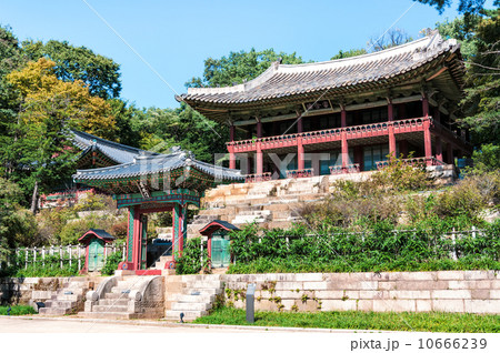 Changdeokgung Palace 10666239