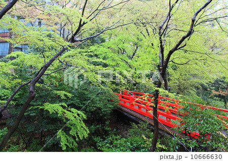 椿山荘 10666630