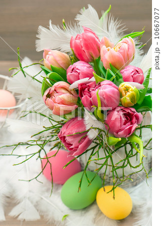 tulip flowers with water drops. vibrant colors tulip flowers with water drops. vibrant colors 10667077