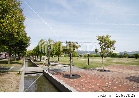 親水水路のある防災公園 10667928