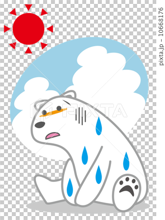Sweat Doladara Polar Bear 10668176