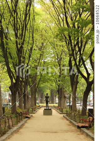 定禅寺通り 10668522