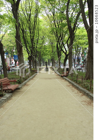 定禅寺通り 10668523