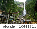 那智の滝 10668611