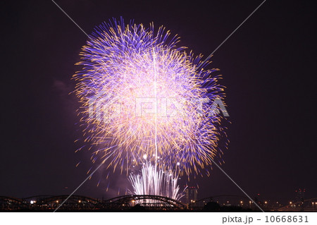 なにわ淀川花火大会 10668631