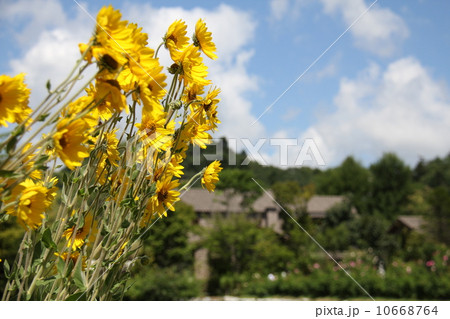 夏の日 a summer day 夏の日 a summer day 10668764