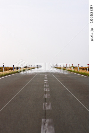 エサヌカ線 10668897