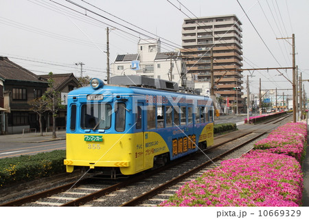 阪堺電車初詣風景 阪堺電車初詣風景 10669329