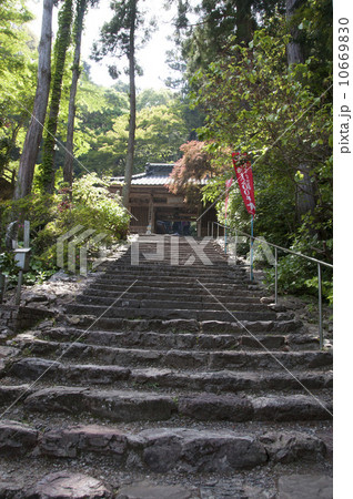 四国霊場36番札所青龍寺 10669830