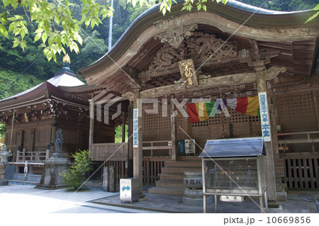 四国霊場36番札所青龍寺 10669856