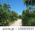 海へと続く白い道 10669935