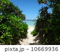 海へと続く白い道 10669936