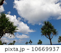 夏の空 10669937