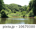 神奈川県立　四季の森公園 10670380