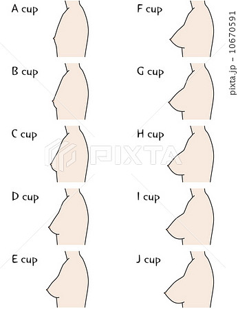 bust cup size side tan - Stock Illustration [102698015] - PIXTA