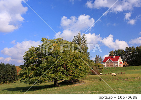 赤い屋根の家 10670688