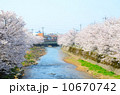 川岸の満開の桜【横】 10670742