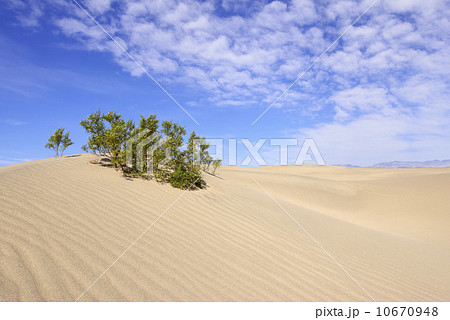 デスバレーのサンドデューン 10670948