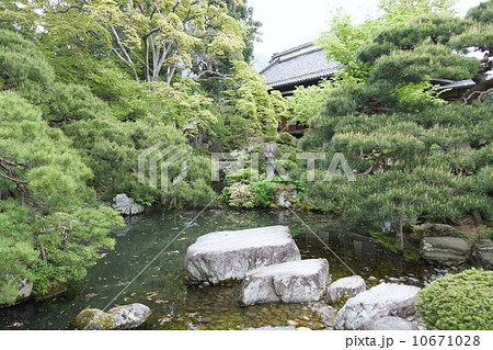 豪商の館田中本家庭園 10671028
