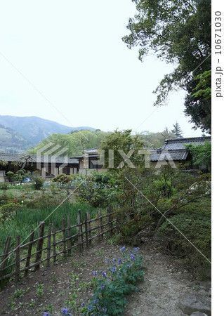 豪商の館田中本家庭園 10671030