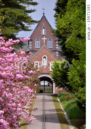 トラピスト修道院の春 トラピスト修道院の春 10671383