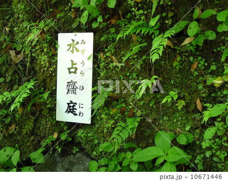 貴船神社 水占斎庭の写真素材 [10671446] - PIXTA