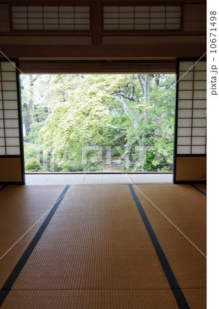 豪商の館田中本家庭園 10671498