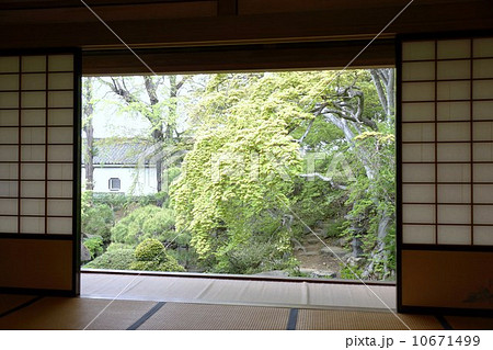 豪商の館田中本家庭園 豪商の館田中本家庭園 10671499