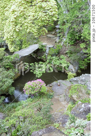 豪商の館田中本家庭園 10671500