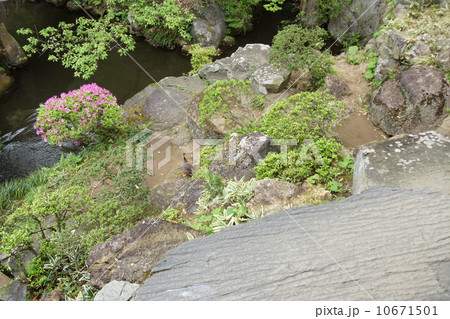 豪商の館田中本家庭園 豪商の館田中本家庭園 10671501