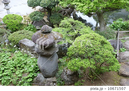 豪商の館田中本家庭園 豪商の館田中本家庭園 10671507