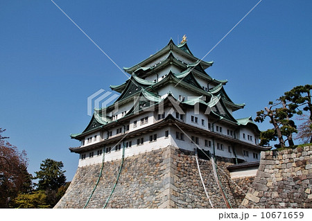 名古屋城 10671659
