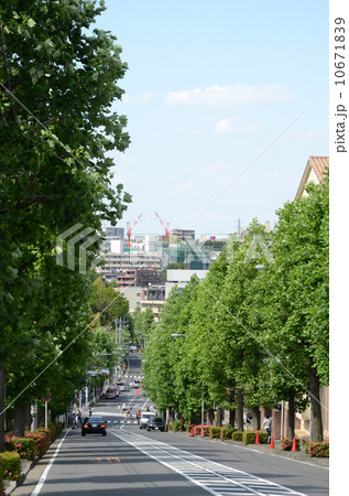 あざみ野 あざみ野 10671839
