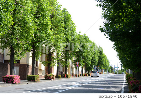 あざみ野 10671840