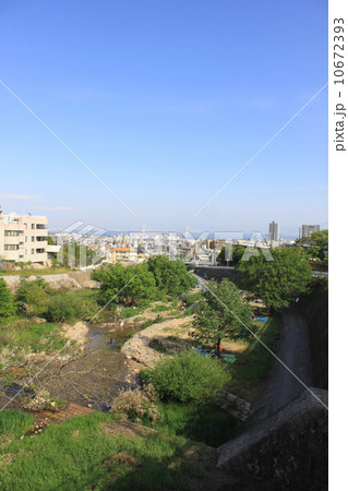 住吉川上流から東灘区、芦屋、西宮、大阪の風景 10672393