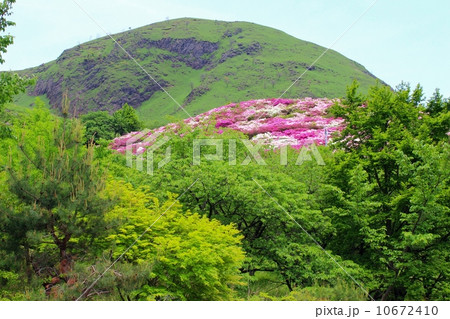 長寿ヶ丘つつじ公園の風景 長寿ヶ丘つつじ公園の風景 10672410