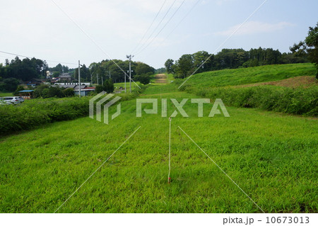 多賀城の城跡 10673013