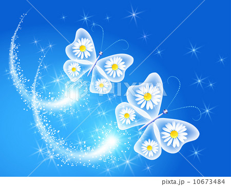 Butterfly and 10673484