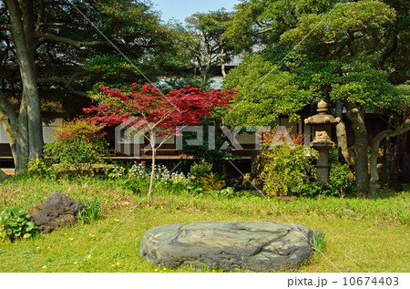 旧岩崎邸庭園・和館 旧岩崎邸庭園・和館 10674403