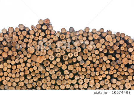 Pile of wood Pile of wood 10674493