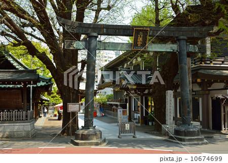 湯島天満宮・銅鳥居 10674699