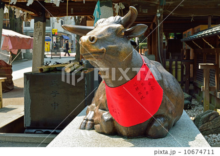 湯島天満宮・牛像(撫で牛) 湯島天満宮・牛像(撫で牛) 10674711