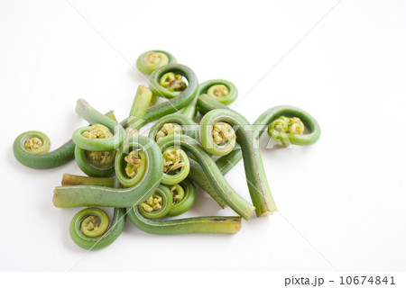 雁足　(がんそく) 10674841