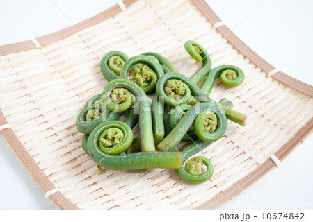 雁足 (がんそく) 雁足 (がんそく) 10674842