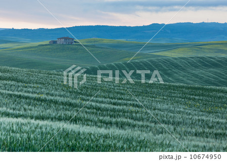 Farmhouse in Tuscany at sunrise 10674950